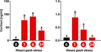 The gene expression profile of the glucocorticoid receptor 1 (gr1) but not gr2 is modulated in mucosal tissues of gilthead sea bream (Sparus aurata) exposed to acute air-exposure stress